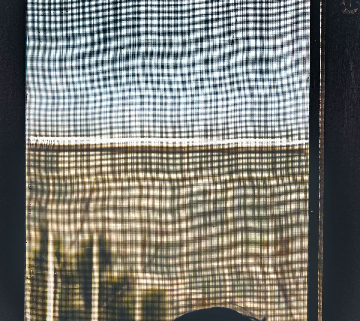 Fly-screen mesh across a window opening with the view softened behind it